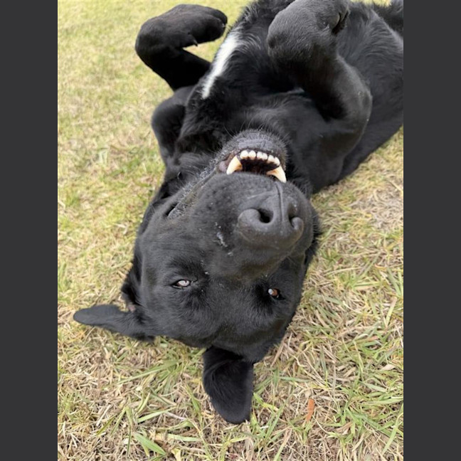 Photo of Titan