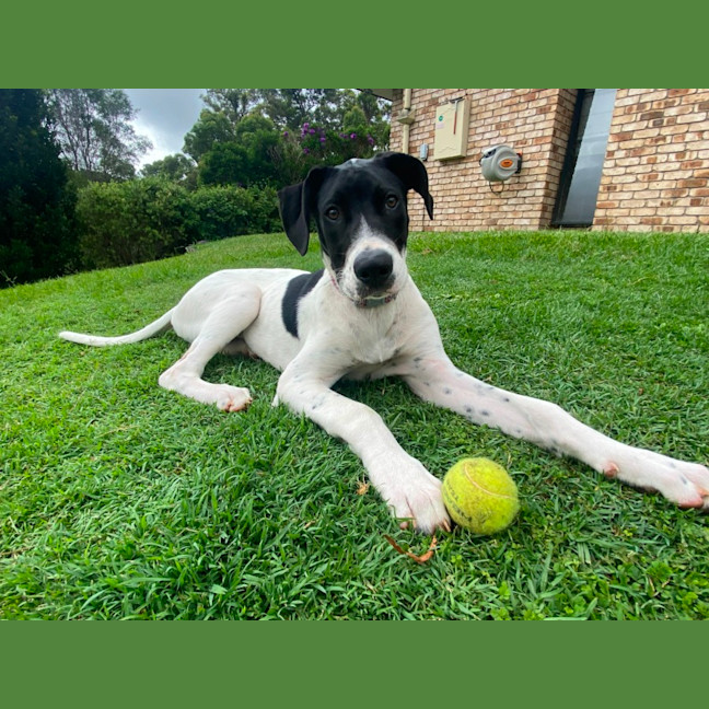 Photo of Ghost