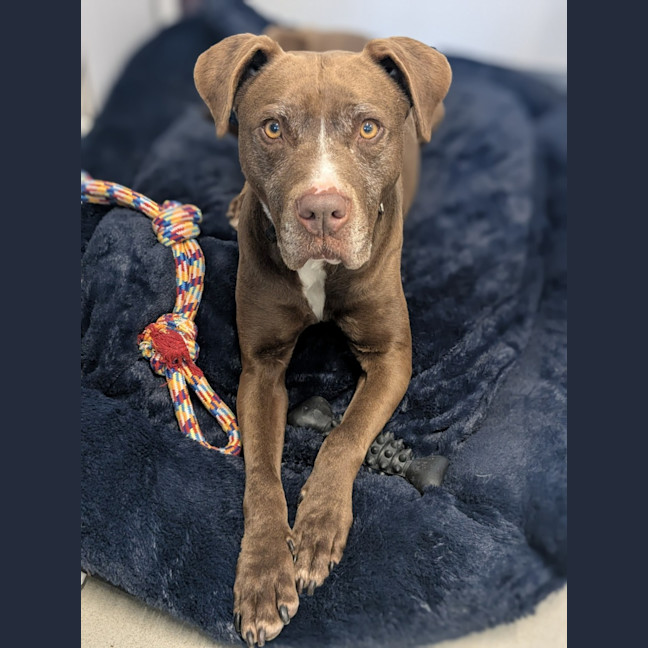 Photo of 🥓 Eazy 6370 🥓