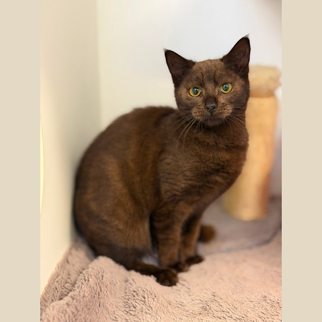 Photo of Hazel