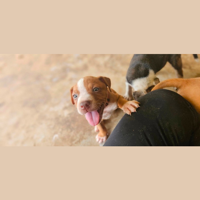 Photo of Salsa