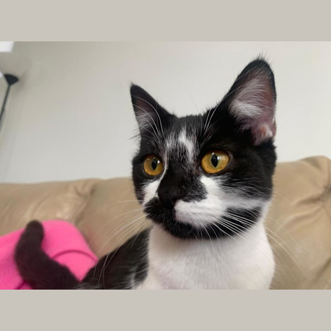 Photo of Bella 