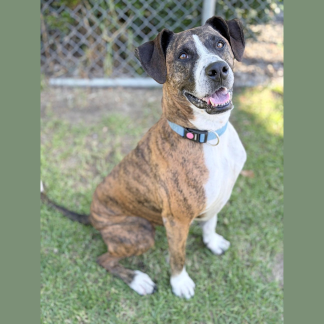 Photo of Xena