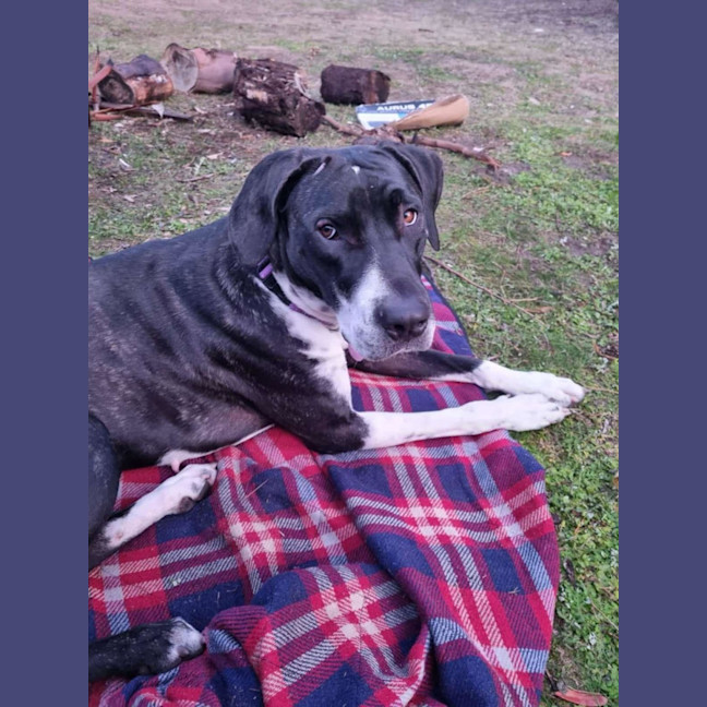 Photo of Maggie