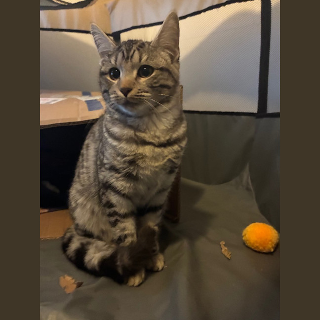 Photo of Enid