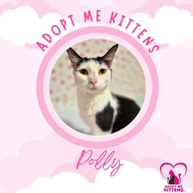 Photo of Polly