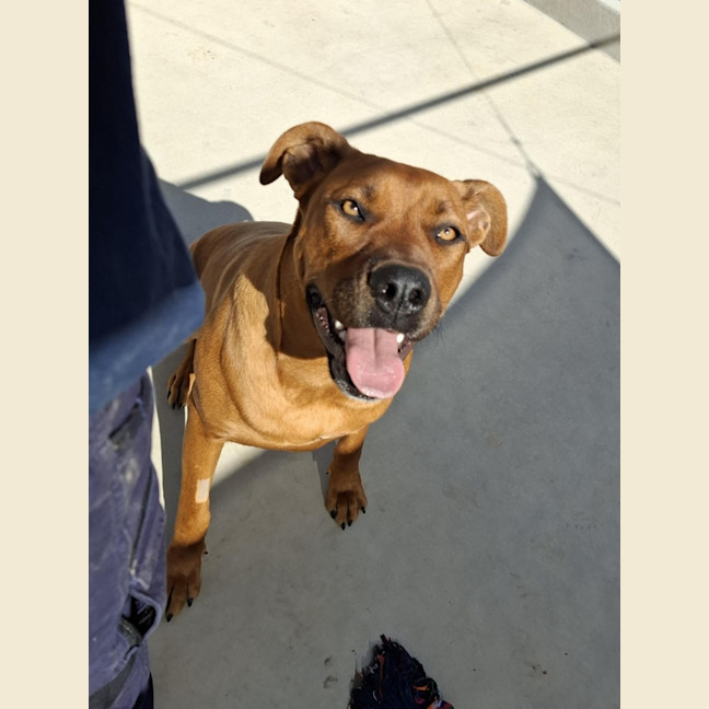 Photo of Bella 62/2026