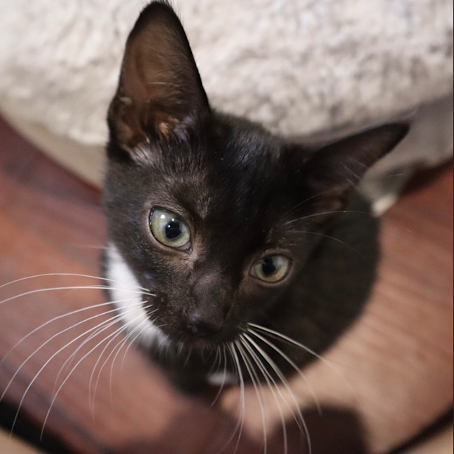 Photo of Gilly