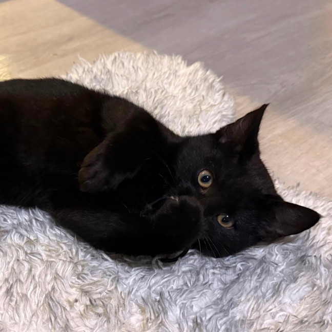 Photo of Banksy 🎨