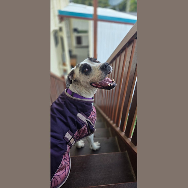 Photo of Rosie