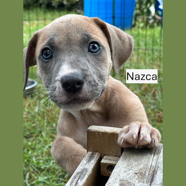 Photo of ⛰️ Coromandel's Litter (Part 1) ⛰️