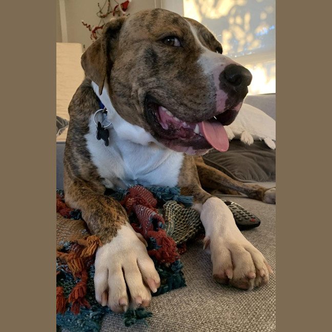 Photo of Buster