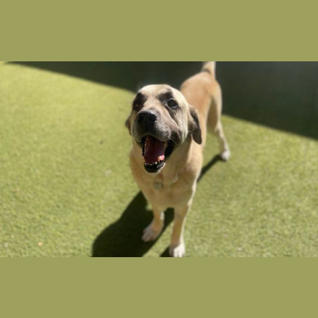 Photo of Big Boy
