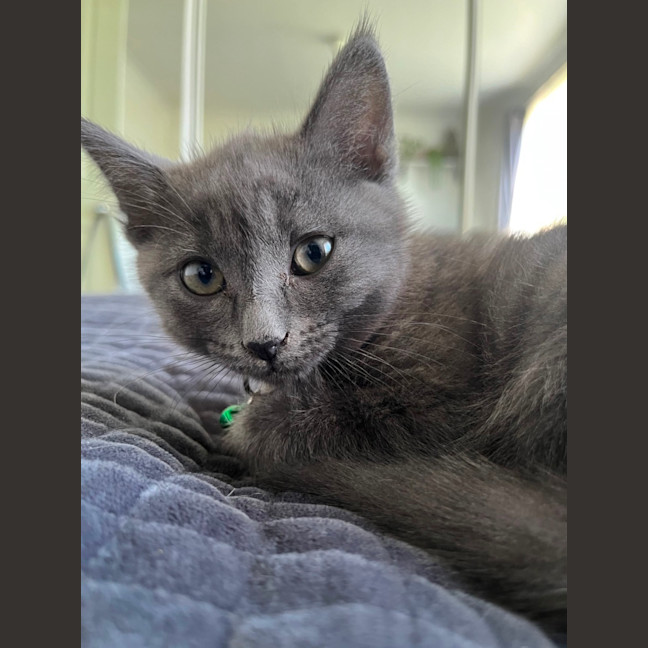 Photo of Jiji
