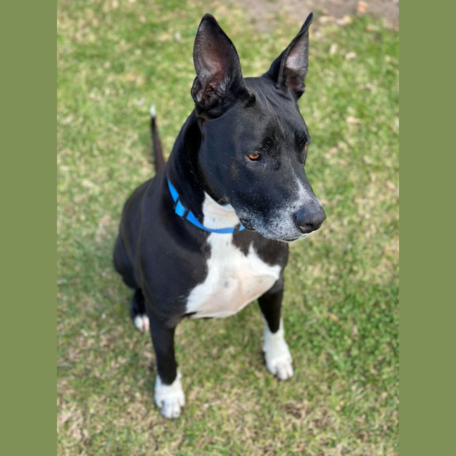Photo of Winston