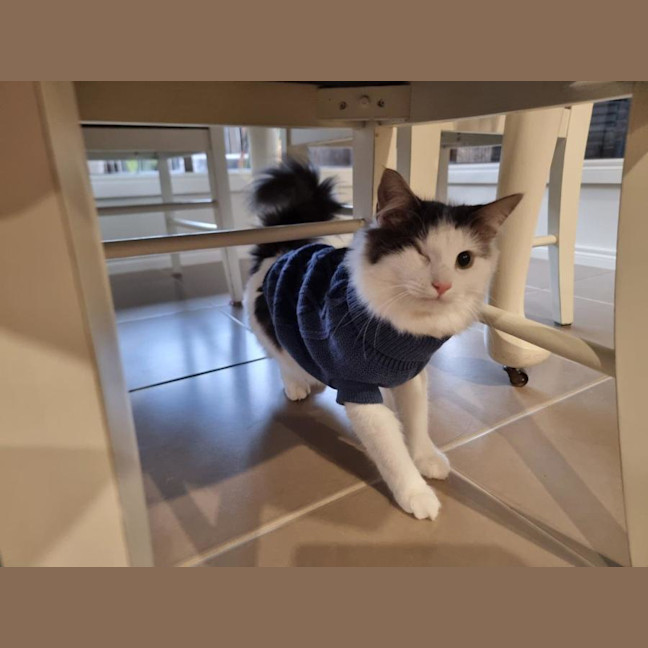 Photo of Pablo Moriarty