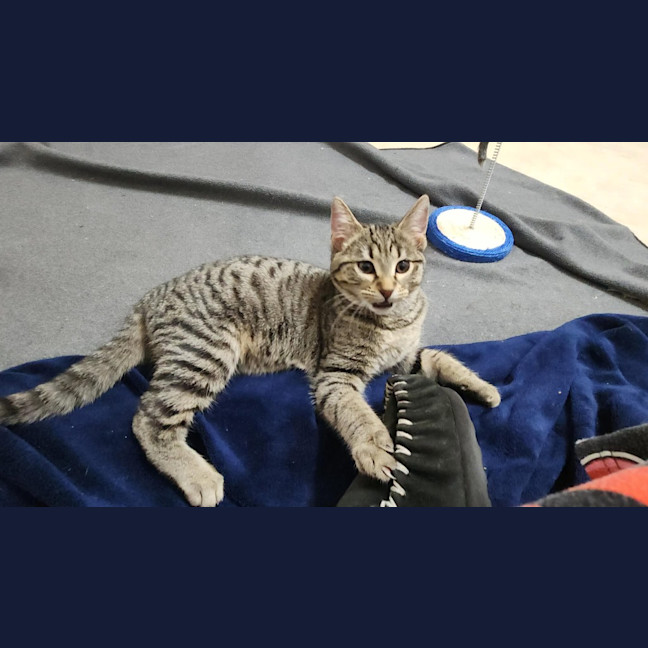 Photo of Princess