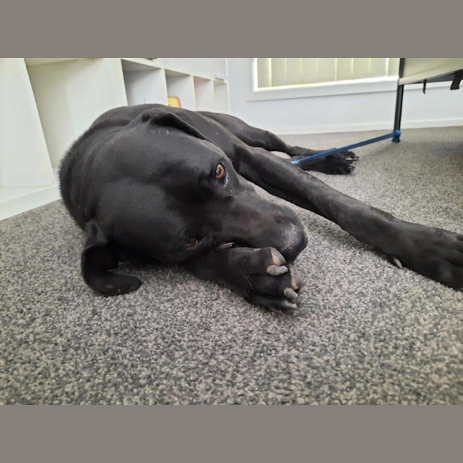 Photo of Stella Lozano