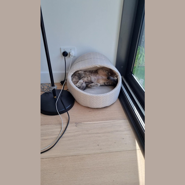 Photo of Mailese
