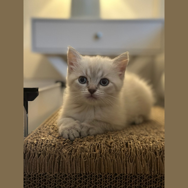 Photo of Miss Arthur