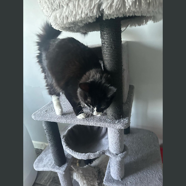 Photo of Maggie