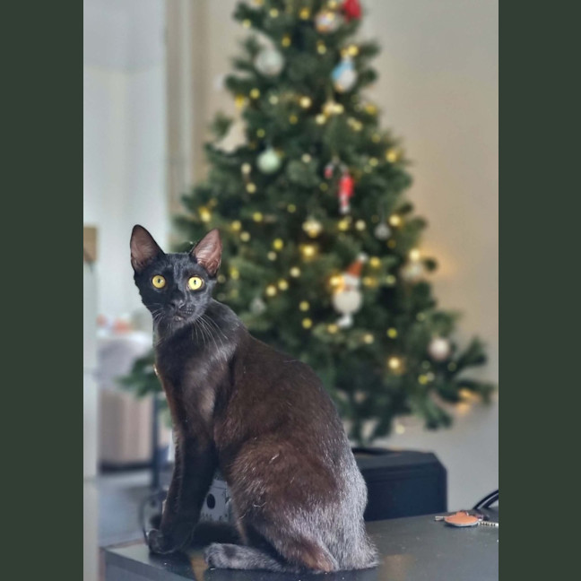 Photo of Noah