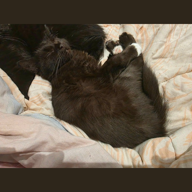 Photo of Toots