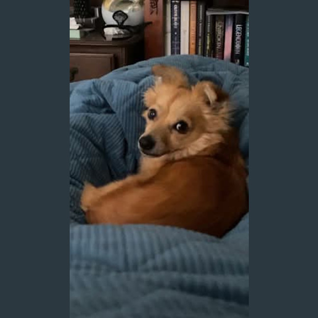 Photo of Buster