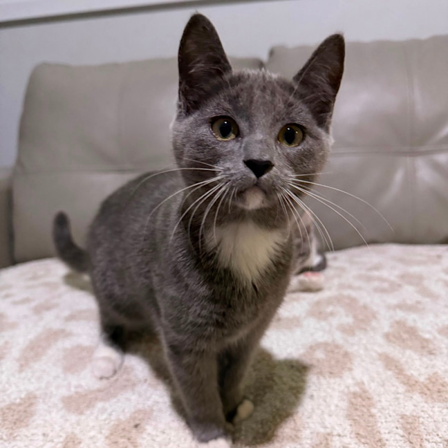 Photo of Arya 🪻💜