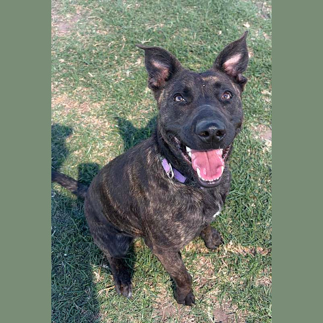 Photo of Lucy