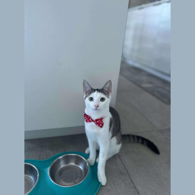 Photo of Shiraz & Cognac🍹