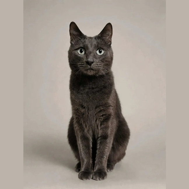 Photo of Max