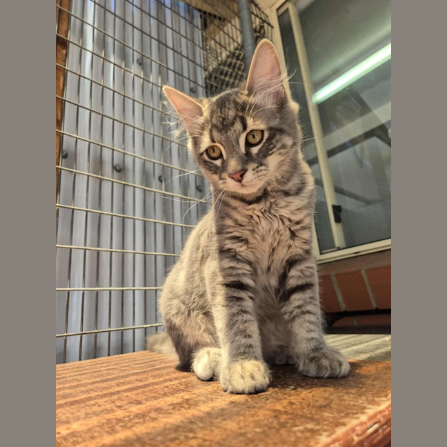 Photo of Winter! ❄️