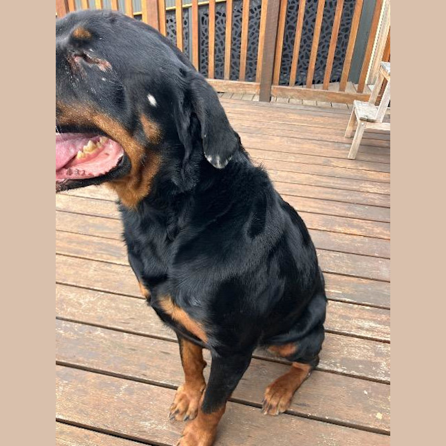 Photo of Zeus