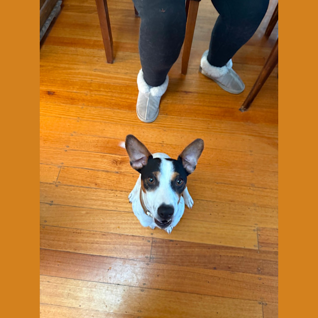 Photo of Bobby 