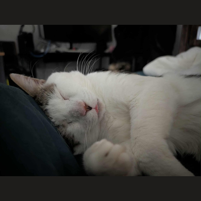 Photo of Pat