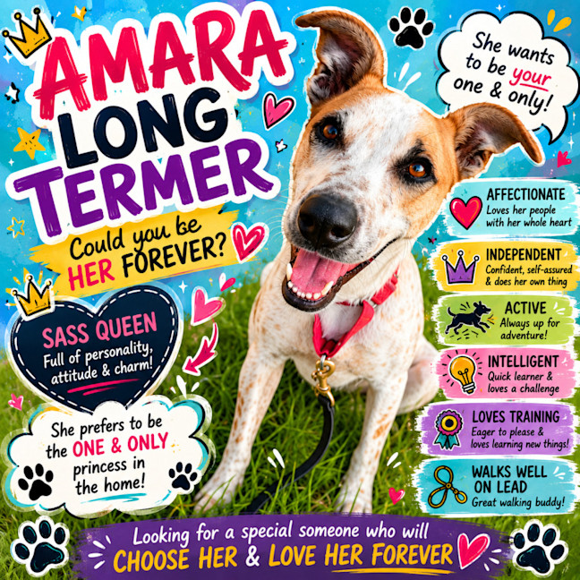 Photo of Amara (67139)