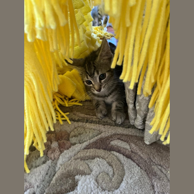 Photo of Eunice & Blanche 