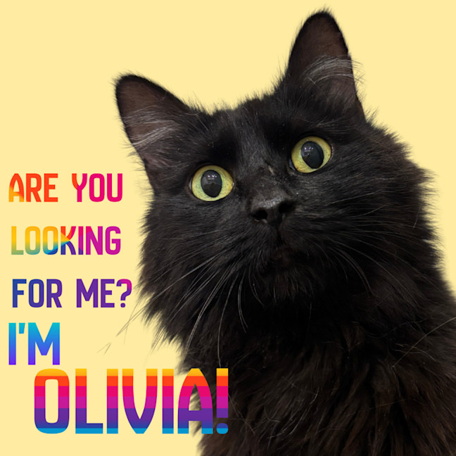 Photo of 👑Olivia👑