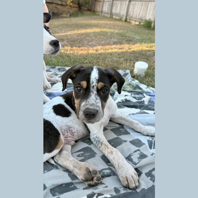 Photo of Theodore (P10)