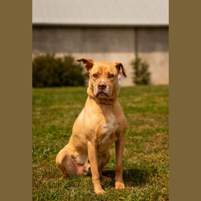 Photo of Max