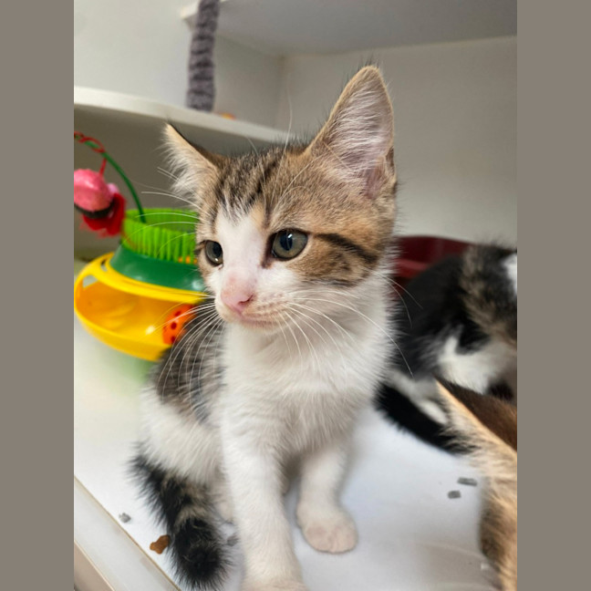 Photo of Berlin (9955)