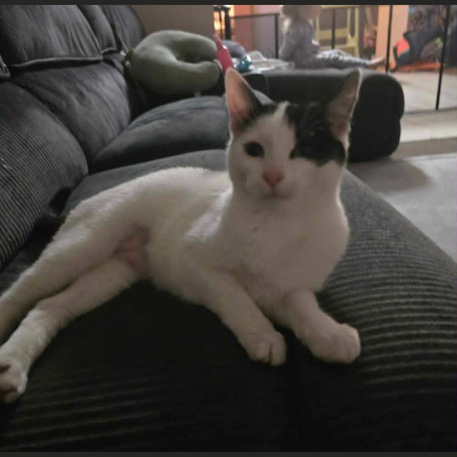 Photo of Cleo