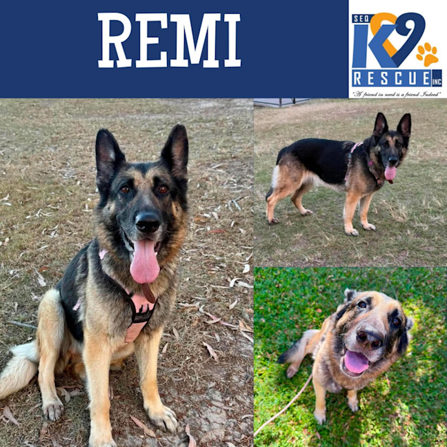 Photo of Remi