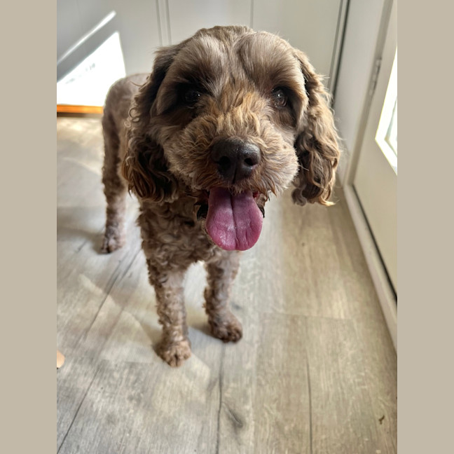 Photo of Charlie & Mei Mei