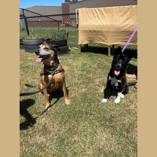 Photo of Tinkerbelle