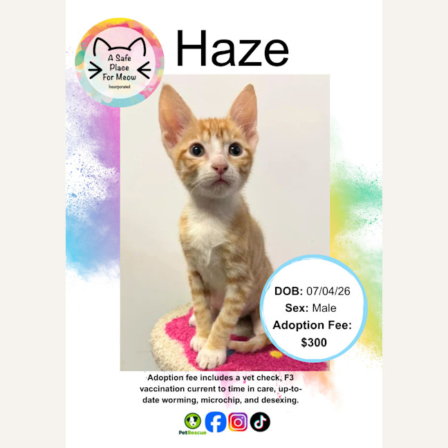 Photo of Haze