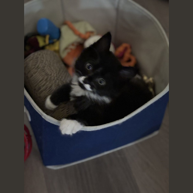 Photo of Harry  Reviewing Applications