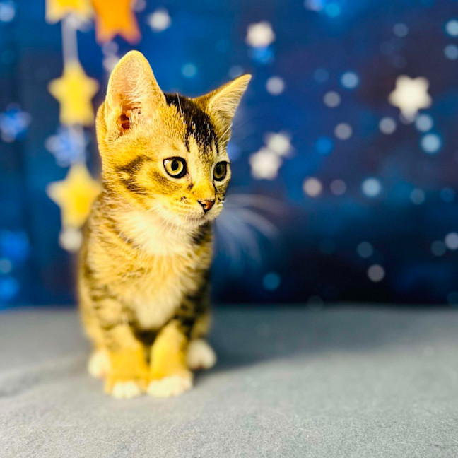 Photo of Bob   Located In Preston 