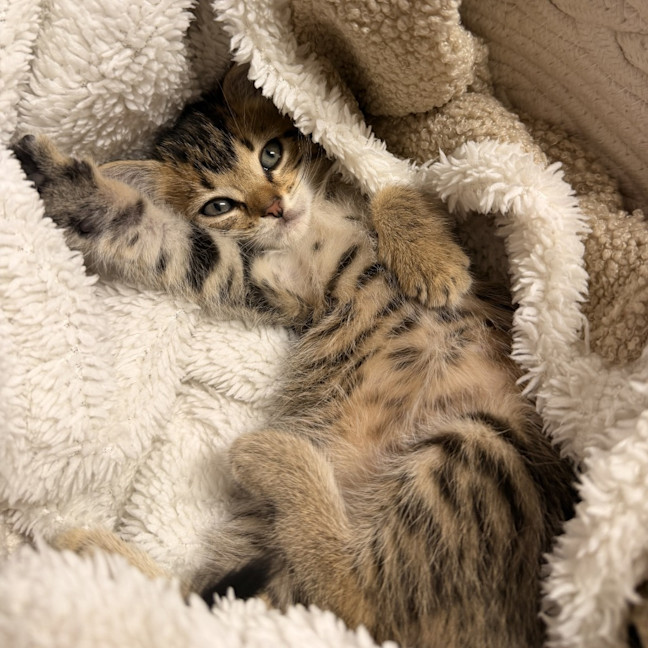 Photo of Milly